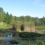 Bolestraszyce — park