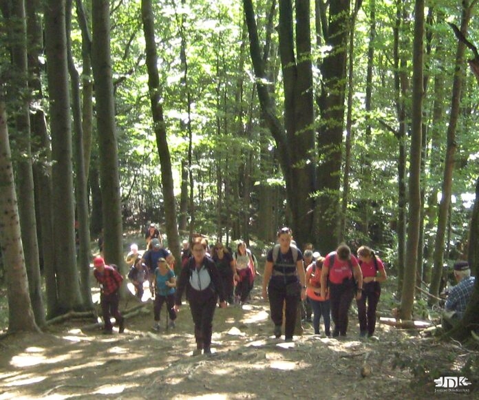 Muczne - grupa w trakcie wędrówki na szczyt Jeleniowate