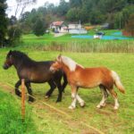 Atrakcje na trasie wyprawy rowerowej