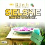 ikonka zakatki gogolowa