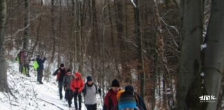 Beskid Dukielski - turyści na zimowym szlaku w drodze na Górę Grzywacką. Idą ścieżką przez las