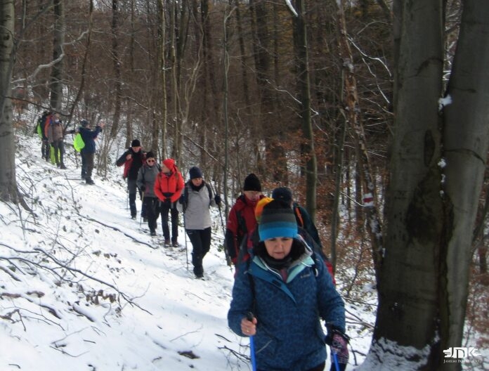 Beskid Dukielski - piechurzy na turystycznej trasie Beskid Dukielski - turyści na zimowym szlaku w drodze na Górę Grzywacką. Idą ścieżką przez las