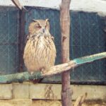 Wyprawa rowerowa- Brzyska – pacjentka Ośrodka Rehabilitacyjnego Dzikich Zwierząt