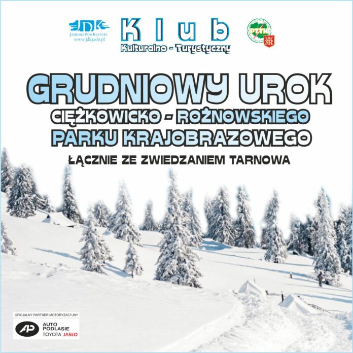 ikonka grudniowy urok