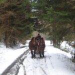 Krempna – sanna przez Magurski Park Narodowy