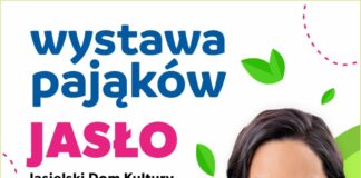 Fascynujący świat pajęczaków. Interaktywna wystawa żywych pająków i skorpionów