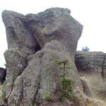 Wychodnia skalna przy Malinowskiej Skale