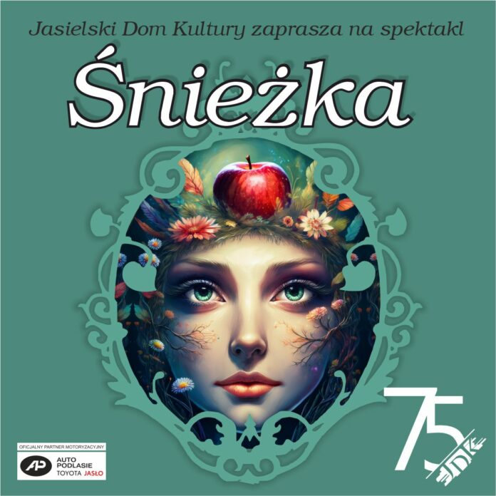 ikonka śniezka