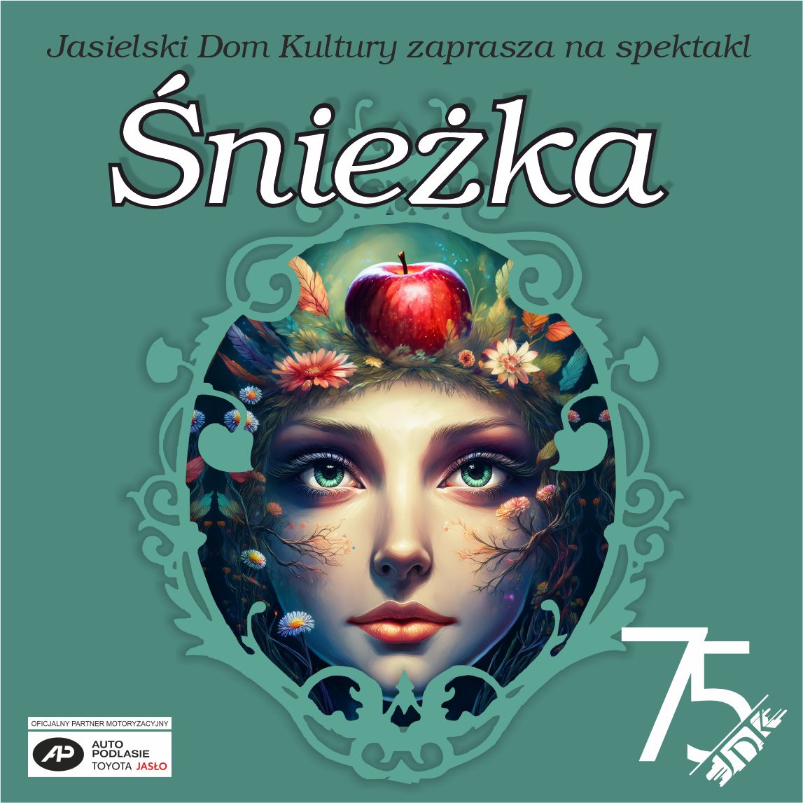 ikonka śniezka