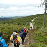 piechurzy na wędrownym szlaku