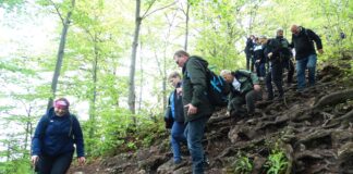 Wielki urok Małych Pienin – relacja z wycieczki na Wysoką