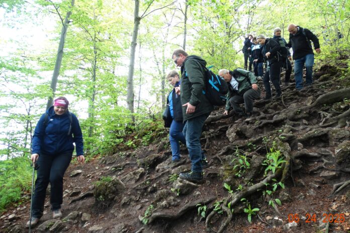 zejście ze szczytu Wysoka