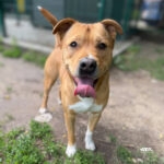 2eed7691-af9a-40f9-b22a-e1153ad9d4a6