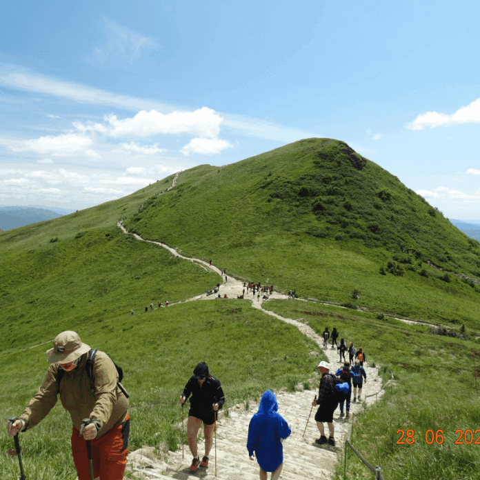 piechurzy w drodze na Tarnicę - w tle szczyt piechurzy w drodze na Tarnicę - w tle szczyt