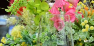 Klimatyczne zwieńczenie Święta Wina kieliszek dni wina