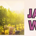 banerek jasielskie winnice1