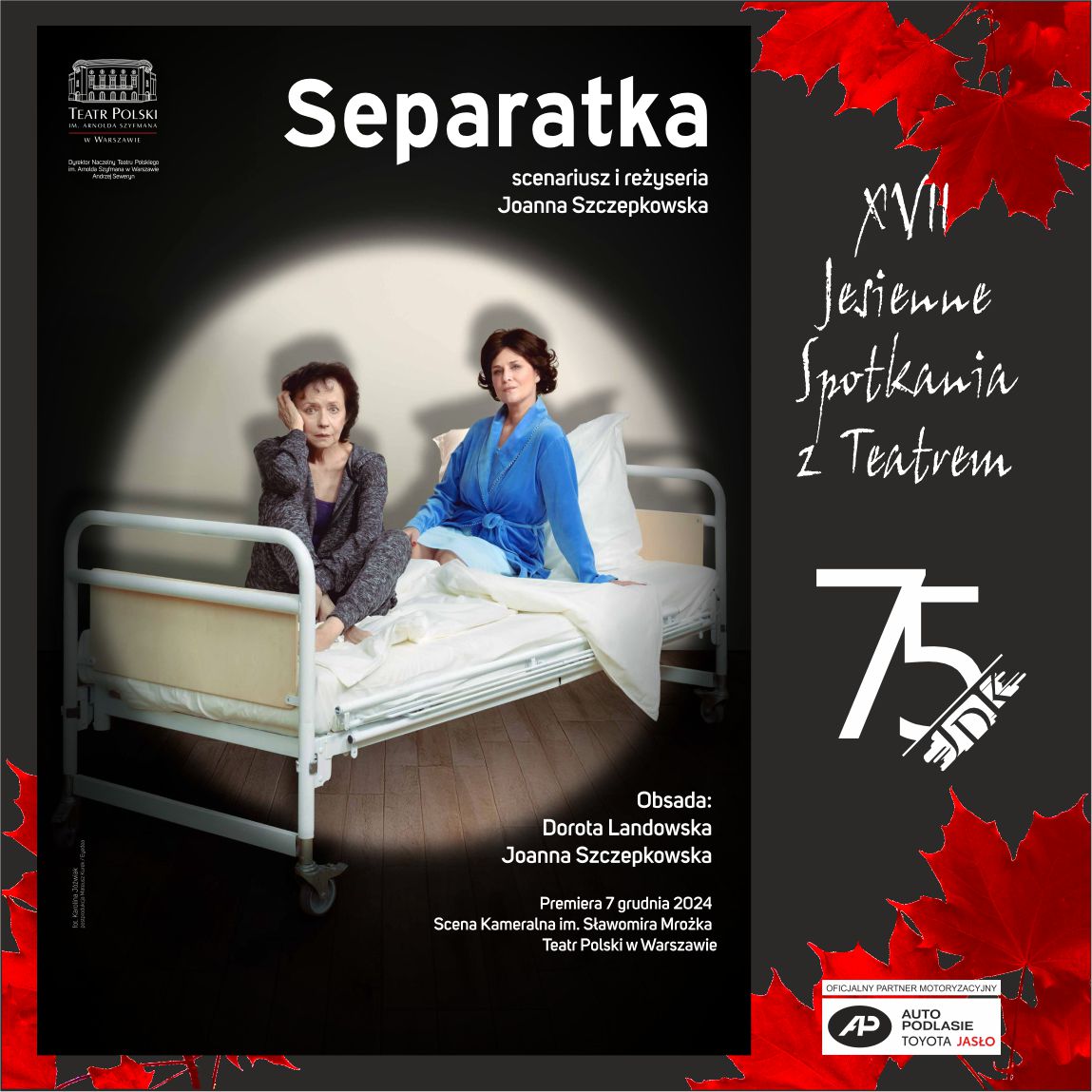 ikona separatka