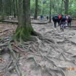 kamieniste podejście na Łysicę