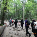 turyści na wędrownym szlaku