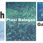 banerek ptasi bałagan