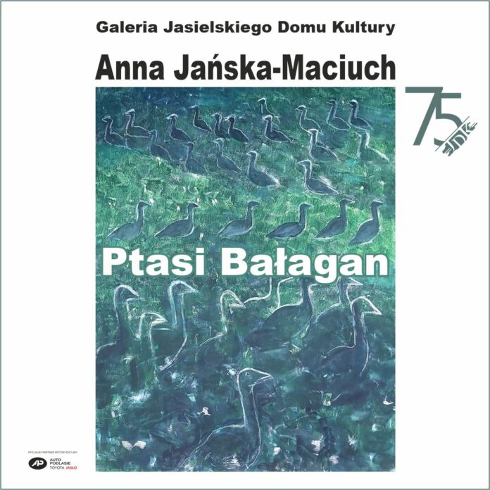 ikonka wystawa ptasi bałagan