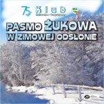 ikonka żukowa zimą