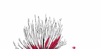 Sukcesy wokalistów w Festiwalu Piosenki Patriotycznej