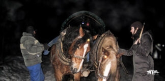 Zimowa przygoda w sercu Bieszczad – zbójnicki kulig z pochodniami