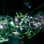 malowanie światłem (29 of 82)