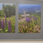 Cieklin – ekspozycja Uli Czerwińskiej