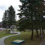 Wapienne – ogrody hortensji