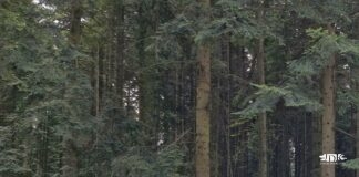 Rowerowa Majówka na Wzgórzach Warzyckich rowerzyści na szlaku Konstytucji 3-go Maja