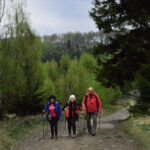 w drodze na Magurkę Wilkowicka