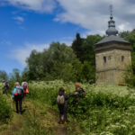 Dzwonnica – Polany Surowicze (1)