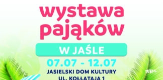 Wystawa pająków w Jasielskim Domu Kultury