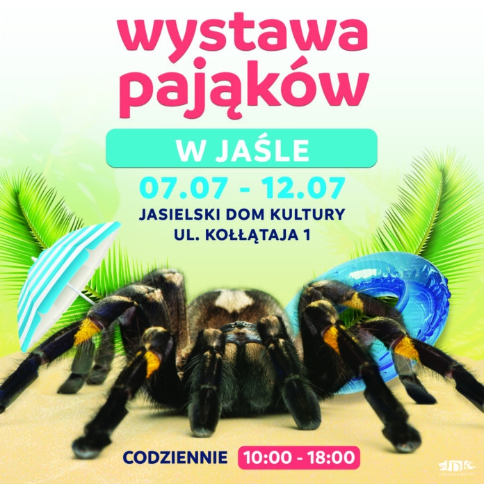Kwadrat