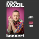 ikonka mozil