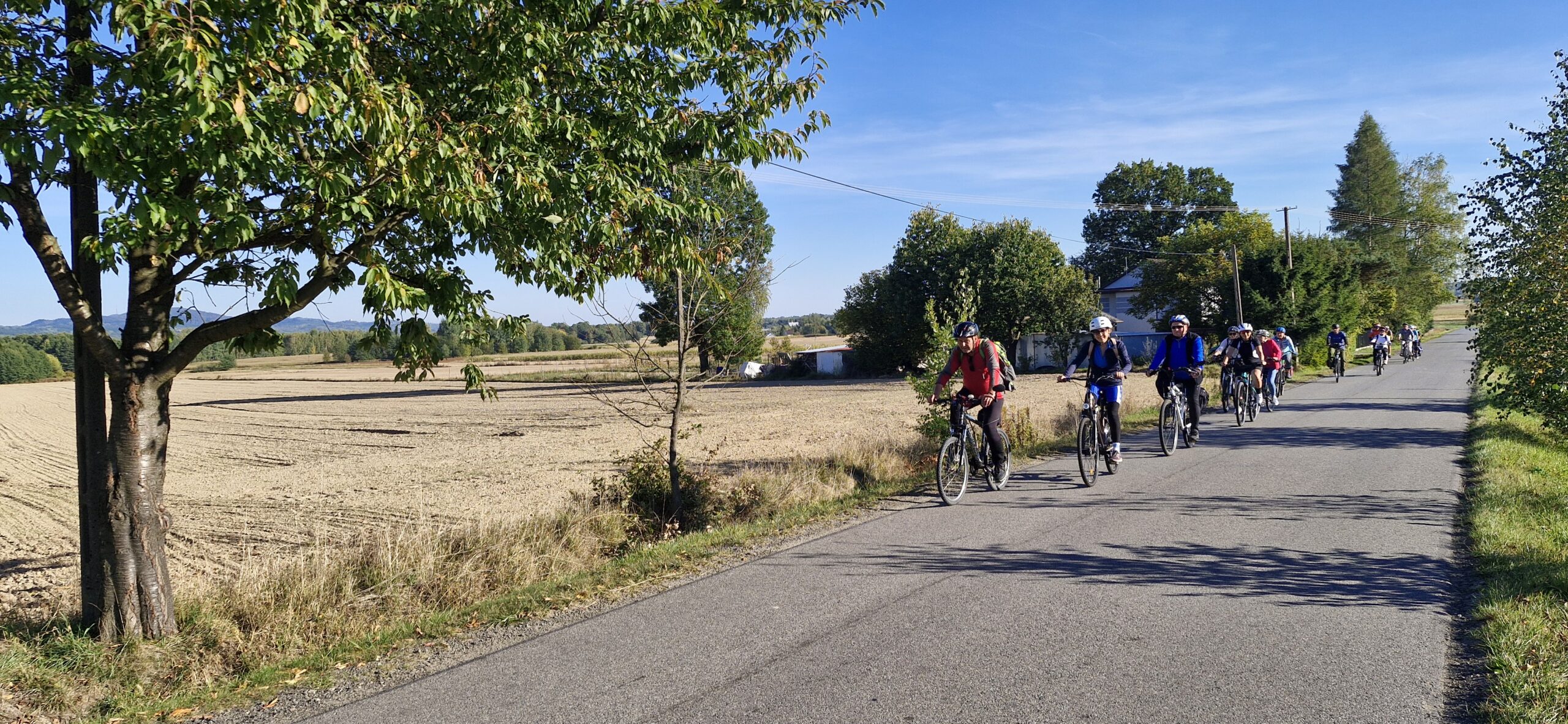 grupa rowerzystów jadąca drogą asfaltową w słońcu