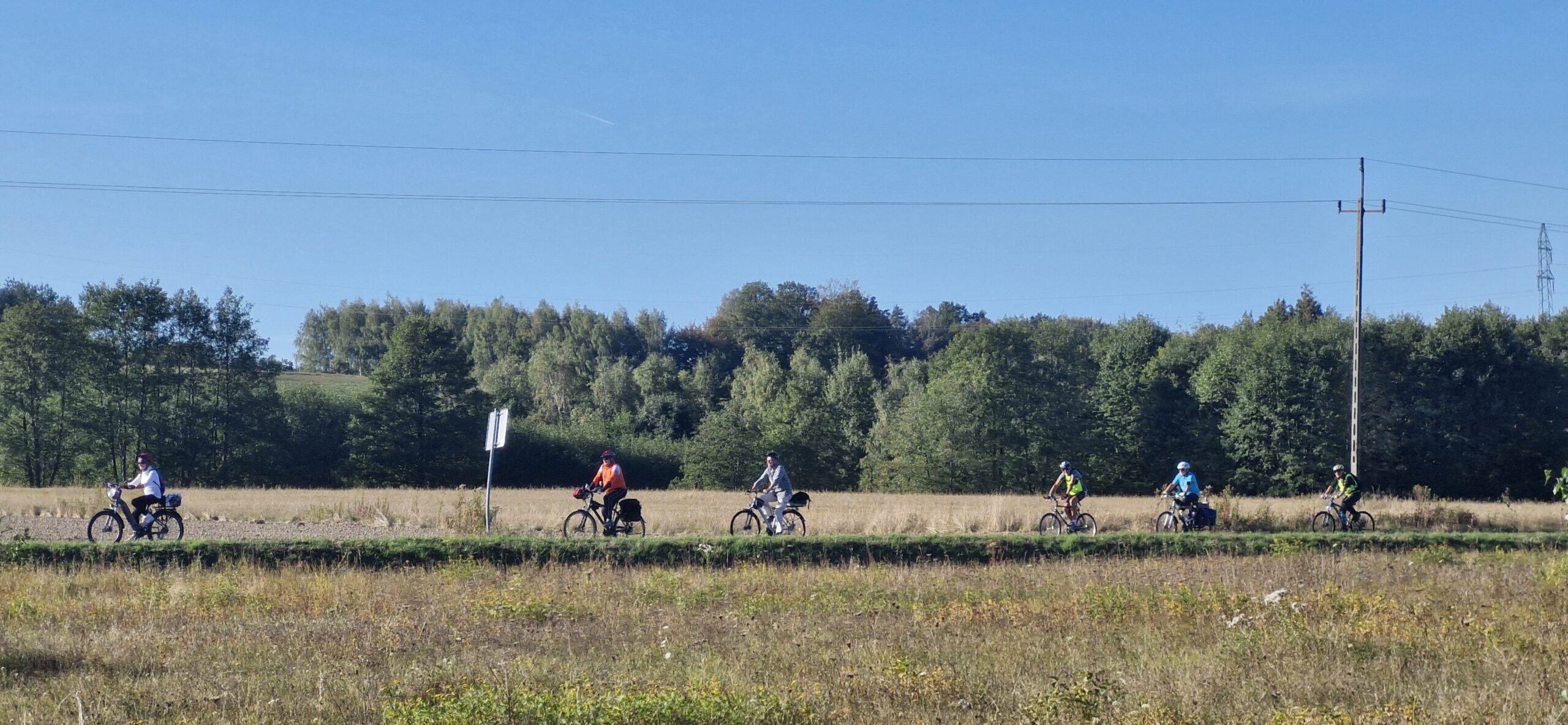 grupa rowerzystów jadąca drogą asfaltową, w tle las